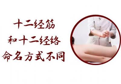 十二经筋和十二经络的区别有哪些？