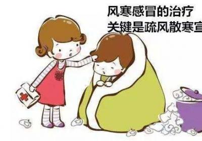 同是解表药，麻黄和桂枝有什么区别？