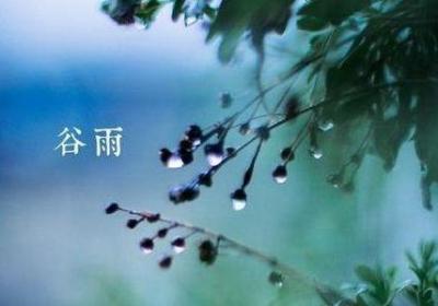 谷雨养生好时节，养好这几处，健康一整年