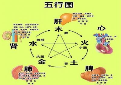 五脏排毒，让你的身体越来越健康