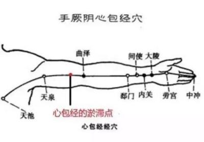 中医经络养生，带你认识不一样的养生