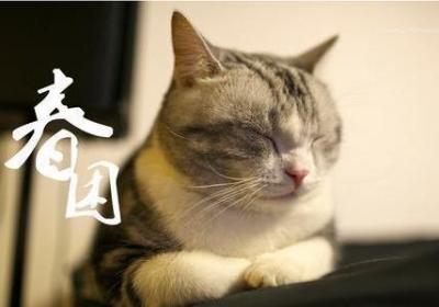 春天就爱犯困“春困”这信号您懂吗？