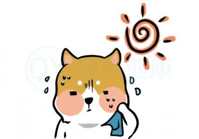 导致头汗的原因有哪些？多为这几个原因