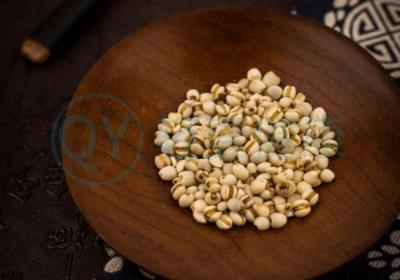 脾虚湿热喝什么茶？