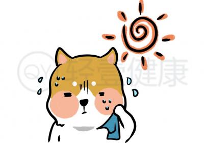 汗腺炎的症状有哪些？多为这几个表现