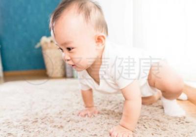 小儿紫癜的中医辨证论治