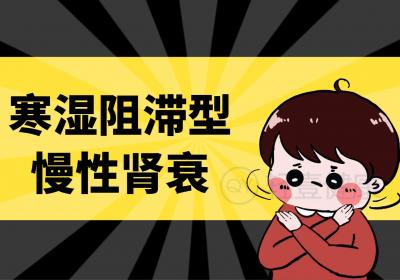 慢性肾衰的中医辨证论治