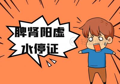 肾病综合征的中医辨证论治