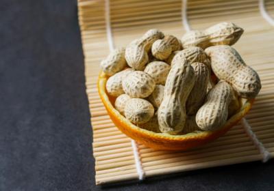 花生芽的功效与作用及禁忌