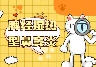 鼻窦炎的中医辨证论治