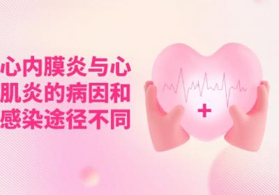 心内膜炎与心肌炎的区别