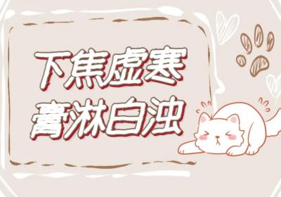 膀胱湿热的中医辨证论治