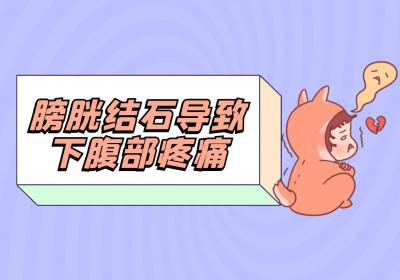 膀胱结石症状、病因、治疗一览