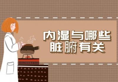 内湿与哪些脏腑有关？