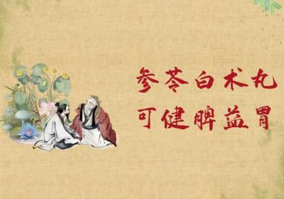 参苓白术丸的功效与作用及禁忌