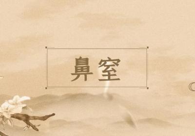关于鼻炎的中医辨证论治你了解多少？