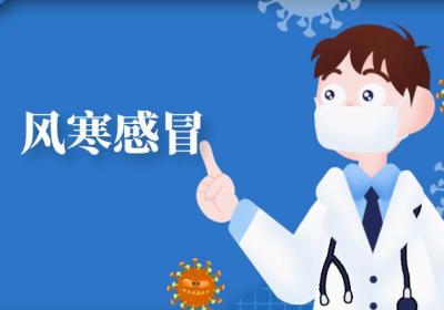 病毒性感冒的中医辨证论治