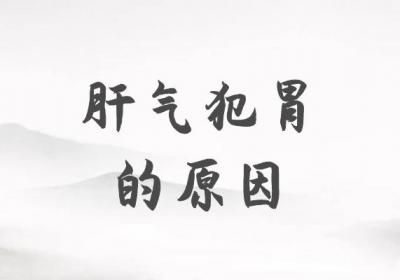 肝气犯胃的原因有哪些？该如何调理呢？