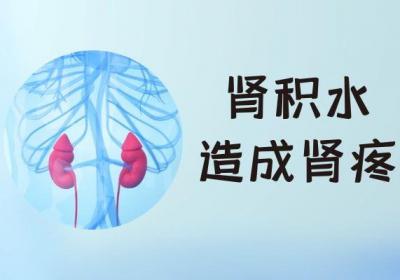 肾疼的原因有哪些？要先了解方可对症治疗！