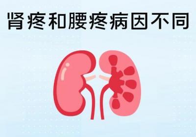 肾疼和腰疼的区别在哪些地方？原来两者区别在这里