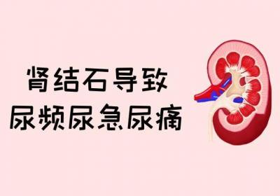 肾结核的症状 肾结核有什么表现