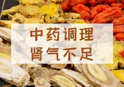 肾气不足如何调理可以缓解呢？可以从以下几方面调理