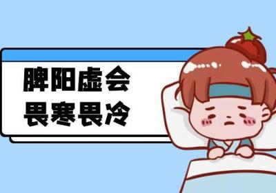 属于脾虚中脾阳虚与脾阴虚的区别是什么？