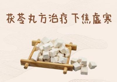 用以调理治疗下焦虚寒的中药方剂有哪些？