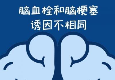 都属于脑血管病变的脑血栓和脑梗塞的区别是什么呢？