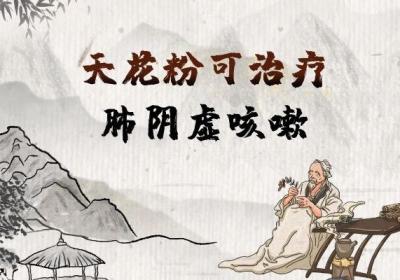 治疗肺阴虚咳嗽的中药有哪些？
