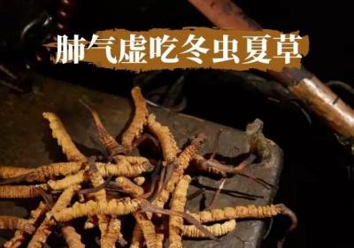 肺气虚吃什么中药可以有效调节身体不适呢？