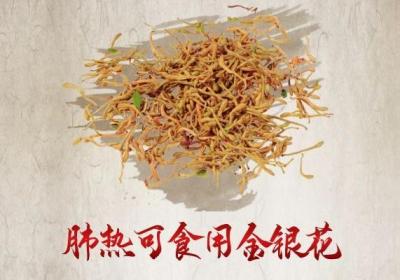 肺热吃什么中药可以起到调节治疗的作用呢？