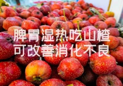 脾胃湿热吃什么食物好？这几种食物可以多吃