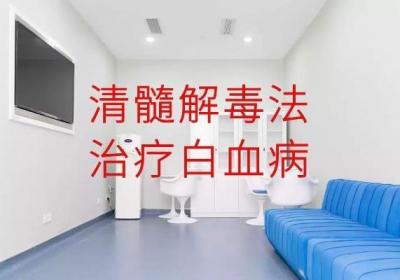 白血病的中医治疗方法是什么？