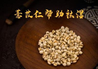 可以祛湿的中药有哪些？本篇整理多种祛湿中药