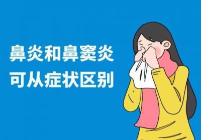 鼻窦炎和鼻炎区别是什么？怎么区分鼻窦炎和鼻炎呢？