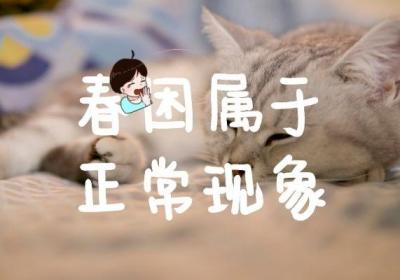 春困的症状有哪些？春困是不健康吗？