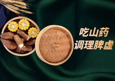 脾虚的人吃什么食物有助于调节脾虚的症状呢？