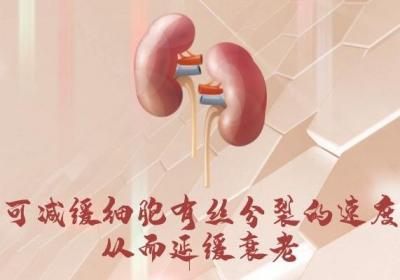 肾部保养的功效和作用是什么？