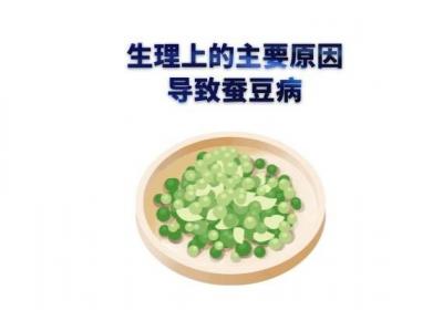 蚕豆病发病情况颇为复杂，那么蚕豆病是什么原因引起的呢？