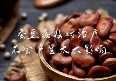 蚕豆病严重吗？蚕豆病用药禁忌是什么？