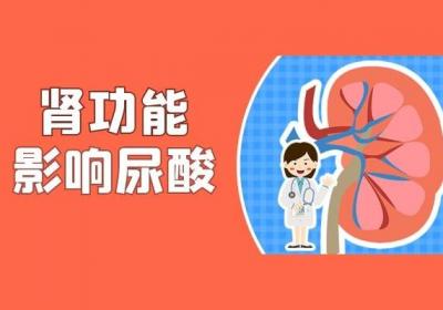 导致尿酸高的原因是什么？这几个因素要尤其注意避免！