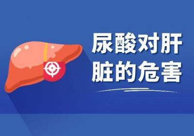 尿酸高有什么危害呢？除了药物控制还可以采取什么方法缓解呢？