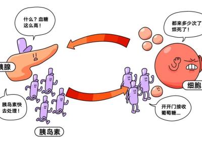 糖尿病患者都存在胰岛素抵抗吗？