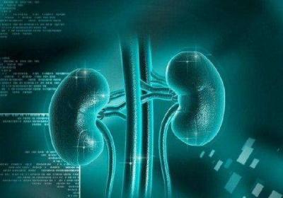 肾气不足的危害有哪些表现症状呢