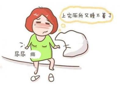 妊娠期的尿频尿痛的原因是什么