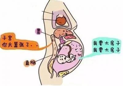 妊娠期病理性腹痛的四大原因