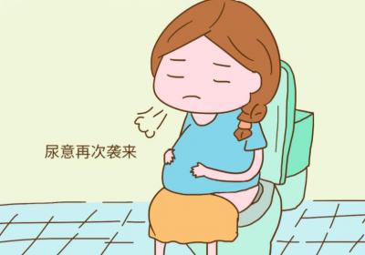 产后小便频是什么原因引起的呢